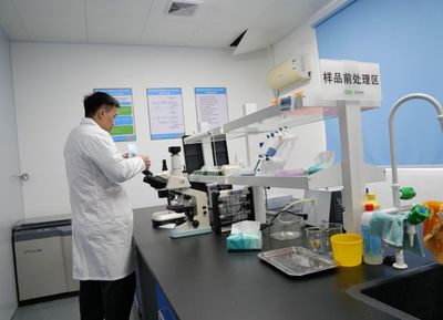 華南10萬張小棚蝦集結號吹響，超30億投入品風口下，廣東領航技術服務與推廣新浪潮